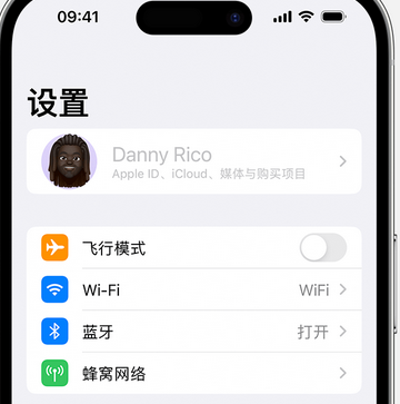 凭祥appleID维修服务iPhone设置中Apple ID显示为灰色无法使用 