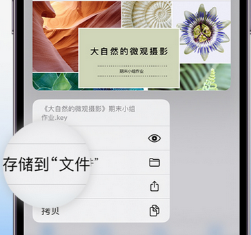 凭祥apple维修中心分享iPhone文件应用中存储和找到下载文件