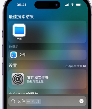 凭祥apple维修中心分享iPhone文件应用中存储和找到下载文件 