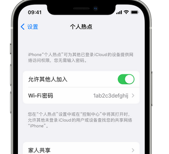 凭祥apple服务站点分享iPhone上个人热点丢失了怎么办 