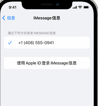 凭祥apple维修iPhone上无法正常发送iMessage信息 