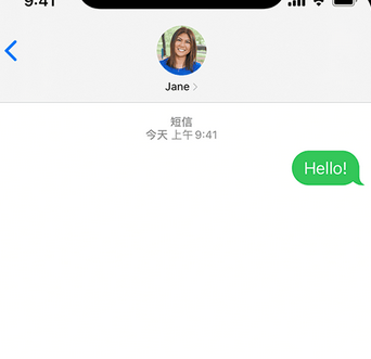 凭祥apple维修iPhone上无法正常发送iMessage信息