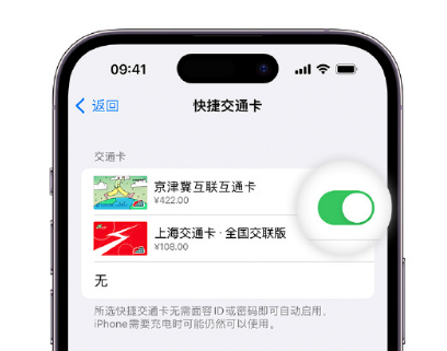 凭祥apple维修点分享iPhone上更换Apple Pay快捷交通卡手绘卡面 