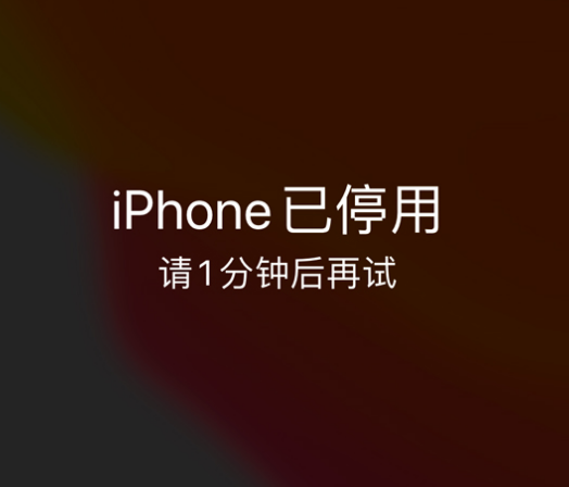 凭祥苹果手机维修分享:iPhone 显示“不可用”或“已停用”怎么办？还能保留数据吗？ 