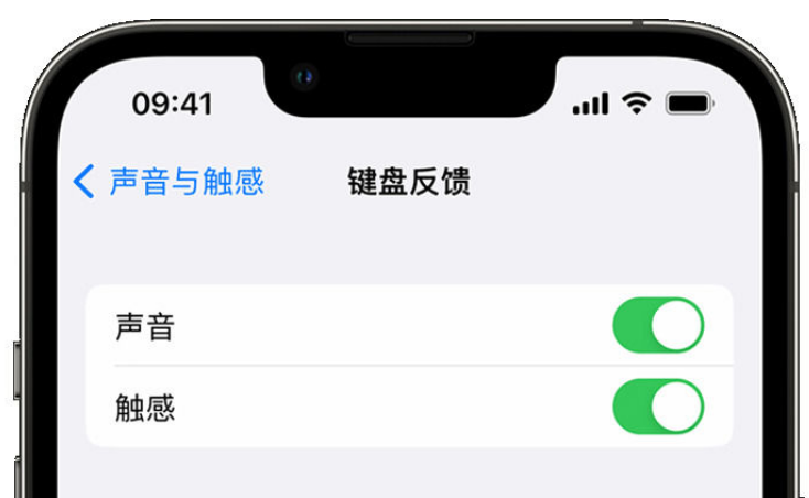 凭祥苹果手机维修分享iPhone 14触感键盘使用方法 