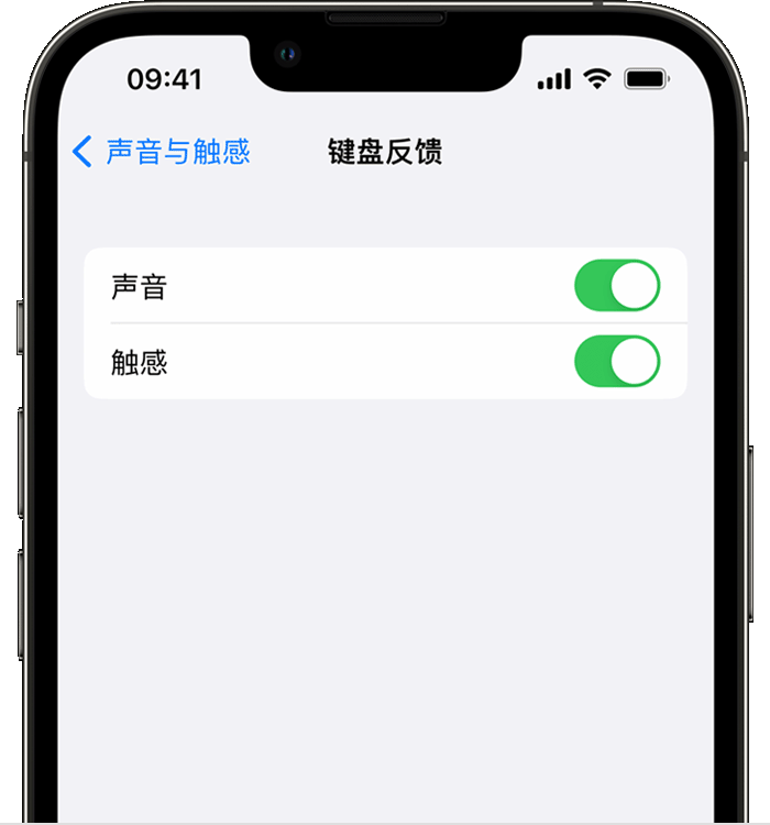 凭祥苹果14维修店分享如何在 iPhone 14 机型中使用触感键盘 