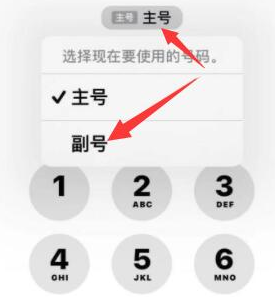 凭祥苹果14维修店分享iPhone 14 Pro Max使用副卡打电话的方法 