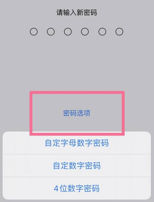 凭祥苹果14维修分享iPhone 14plus设置密码的方法 