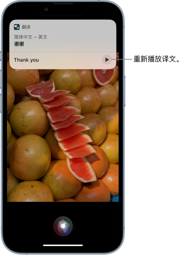 凭祥苹果14维修分享 iPhone 14 机型中使用 Siri：了解 Siri 能帮你做什么 