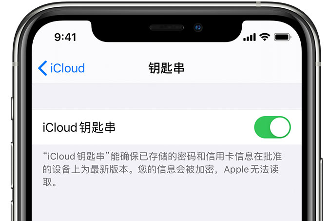 凭祥苹果手机维修分享在 iPhone 上开启 iCloud 钥匙串之后会储存哪些信息 