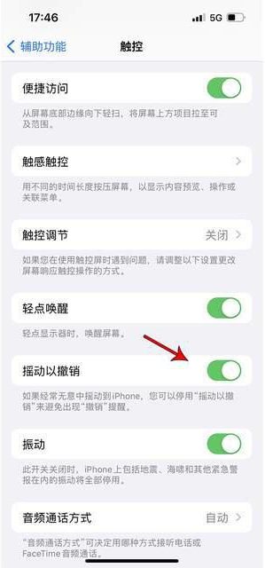 凭祥苹果手机维修分享iPhone手机如何设置摇一摇删除文字 